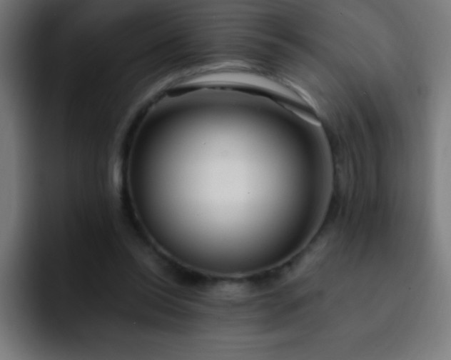 X0000093090350200710031816