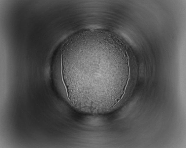 X0000093090351200710031816