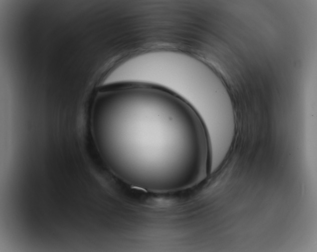 X0000093090352200710031816