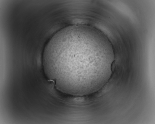 X0000093090353200710031816