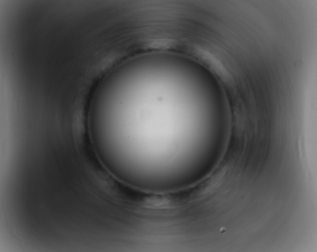 X0000093090354200710031816