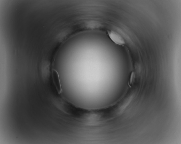 X0000093090356200710031816