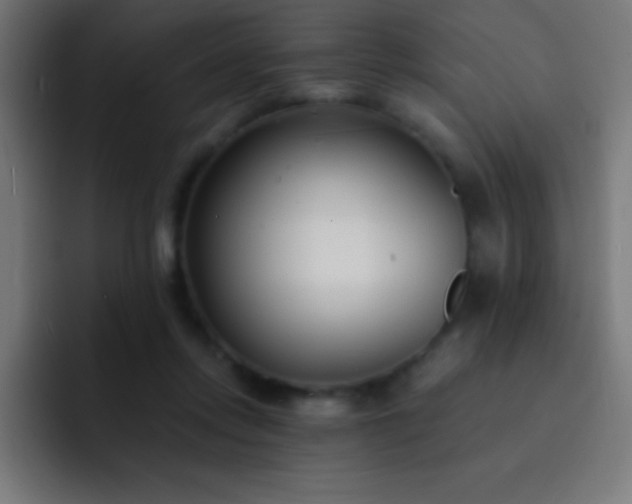 X0000093090358200710031816