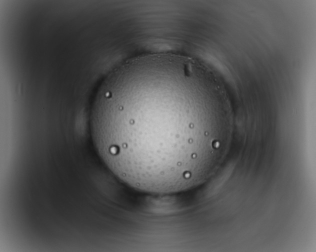 X0000093090359200710031816