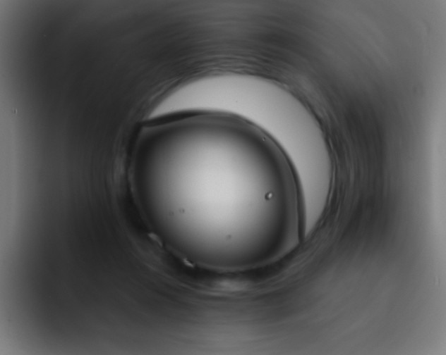 X0000093090360200710031816