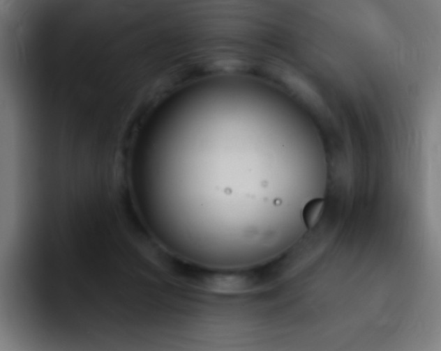 X0000093090361200710031816