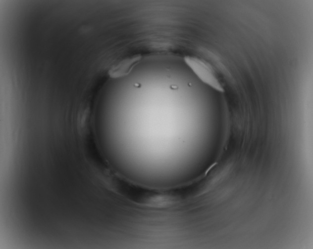 X0000093090364200710031816