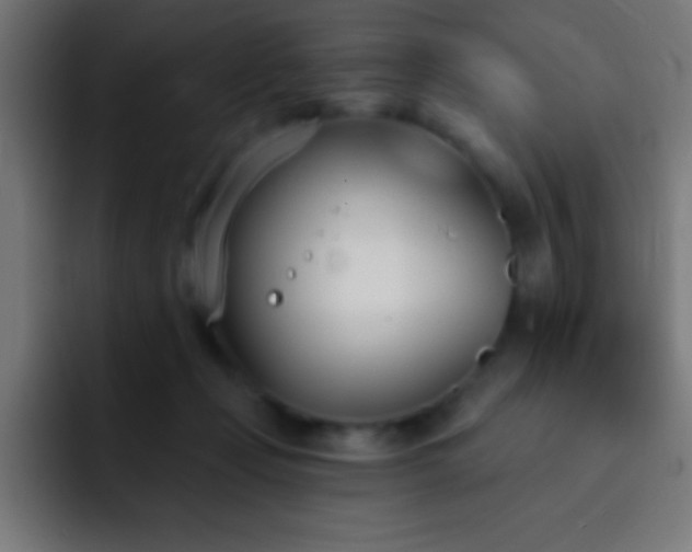 X0000093090365200710031816