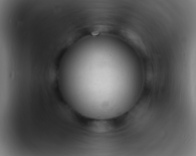 X0000093090367200710031816