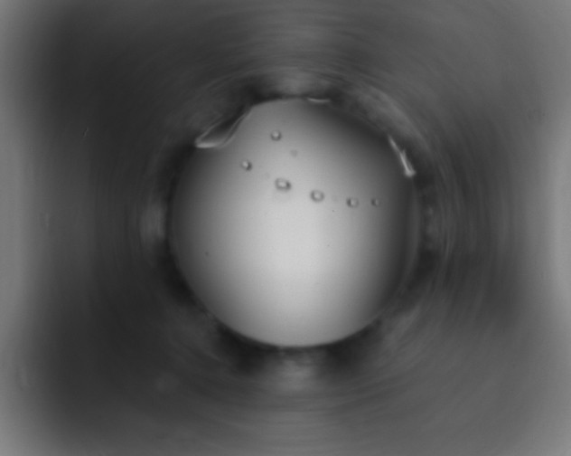 X0000093090368200710031816