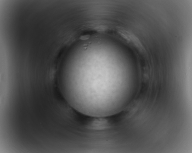 X0000093090369200710031816