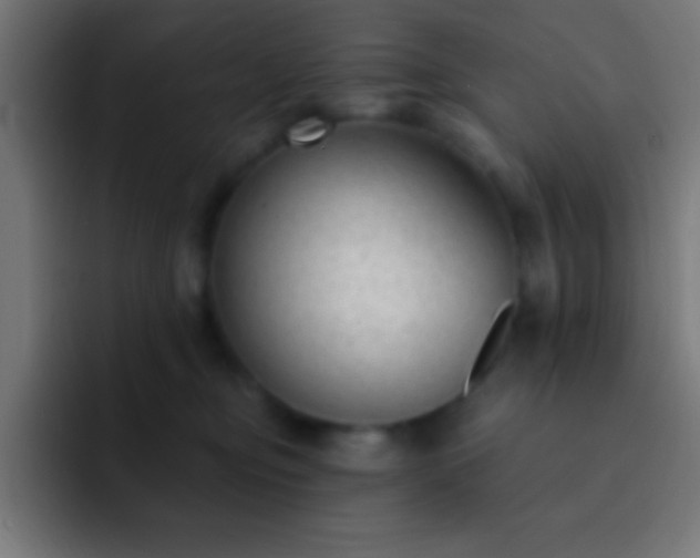 X0000093090374200710031816