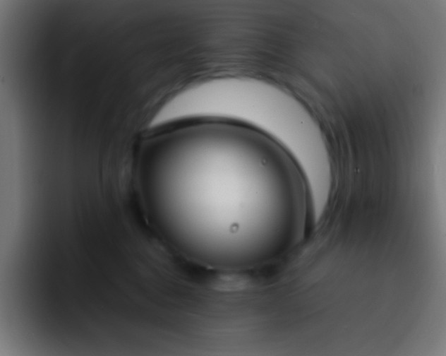 X0000093090376200710031816