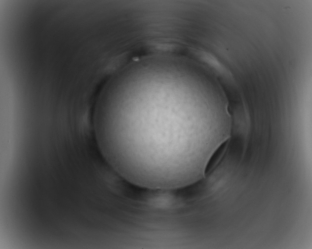 X0000093090377200710031816