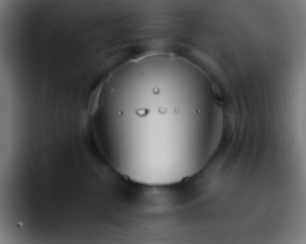 X0000093090380200710031816