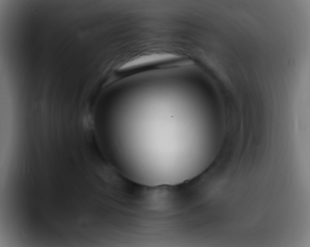 X0000093090384200710031816