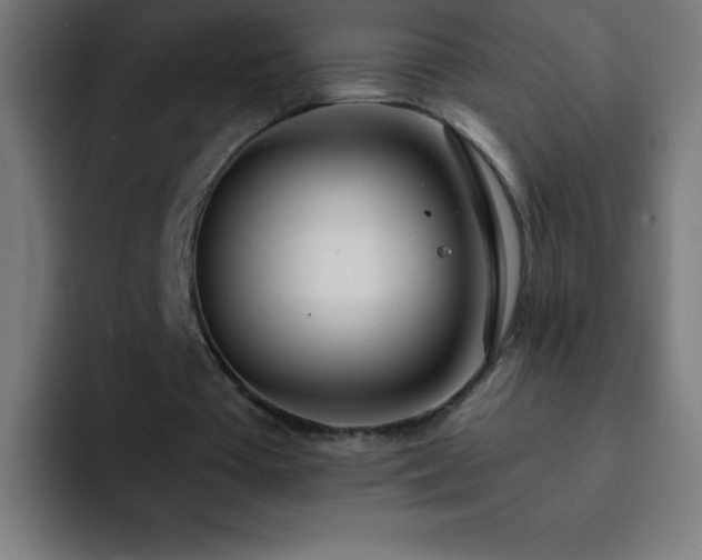 X0000093090385200710031816