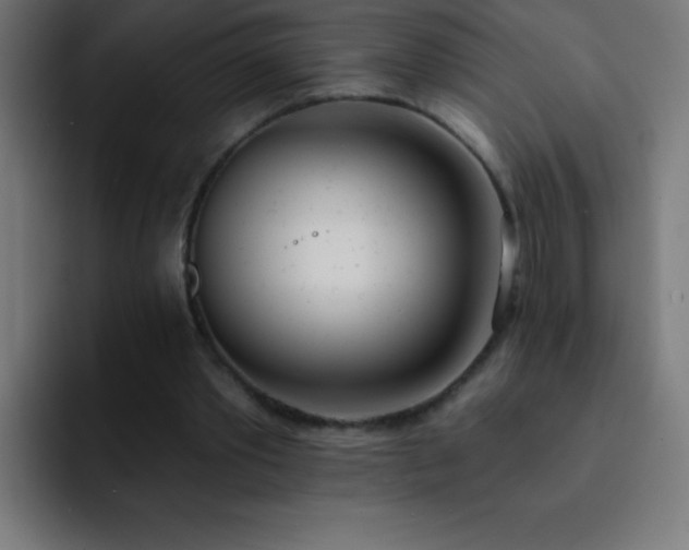 X0000093090389200710031816