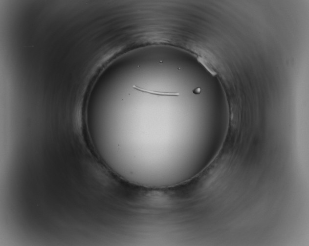 X0000093090390200710031816