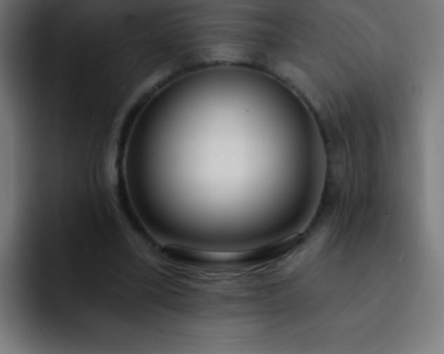 X0000093090395200710031815