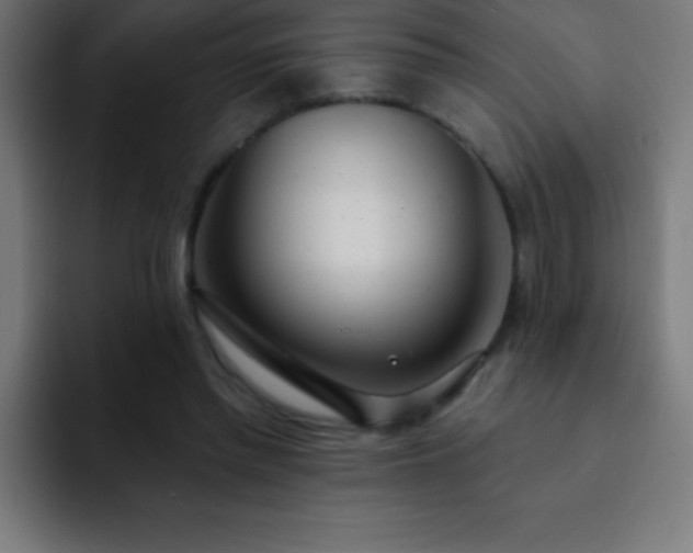 X0000093090397200710031815