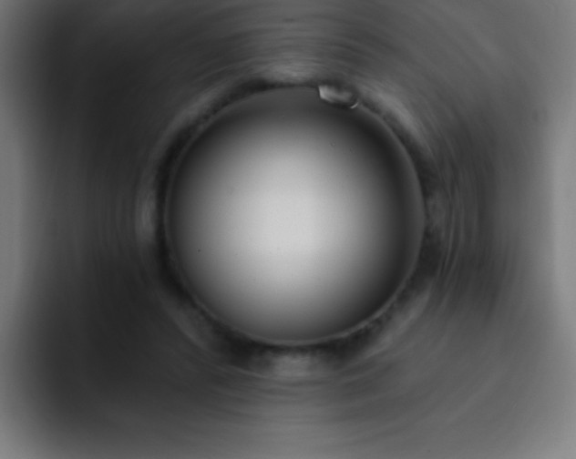 X0000093090400200710031815