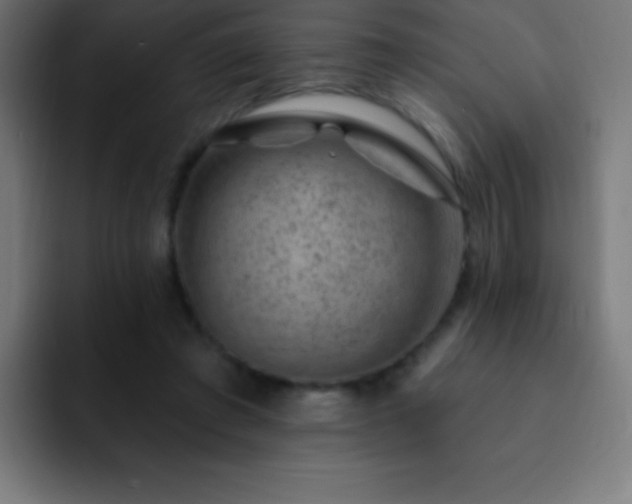 X0000093090401200710031815