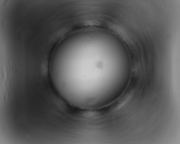 X0000093090402200710031815