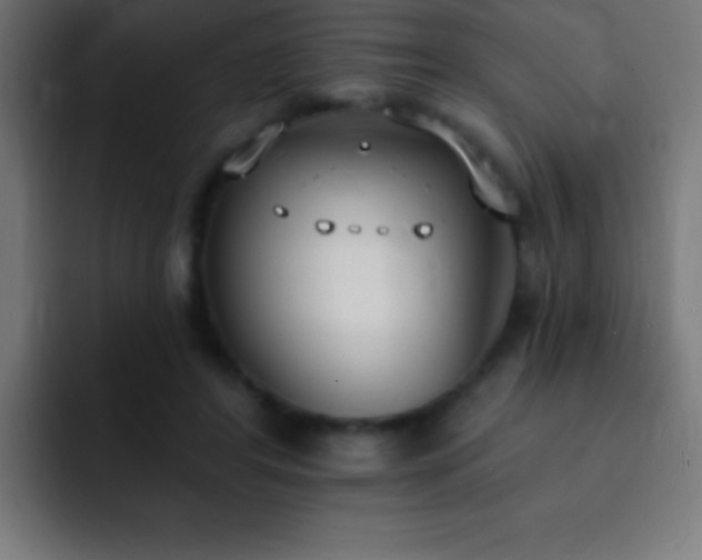 X0000093090404200710031815