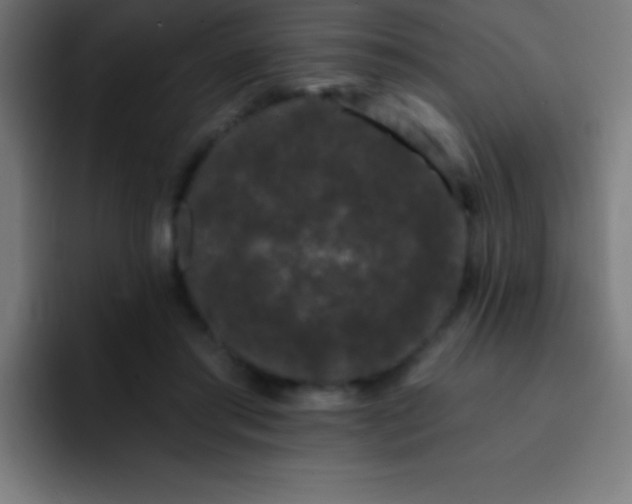 X0000093090405200710031815