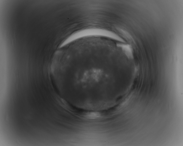 X0000093090409200710031815