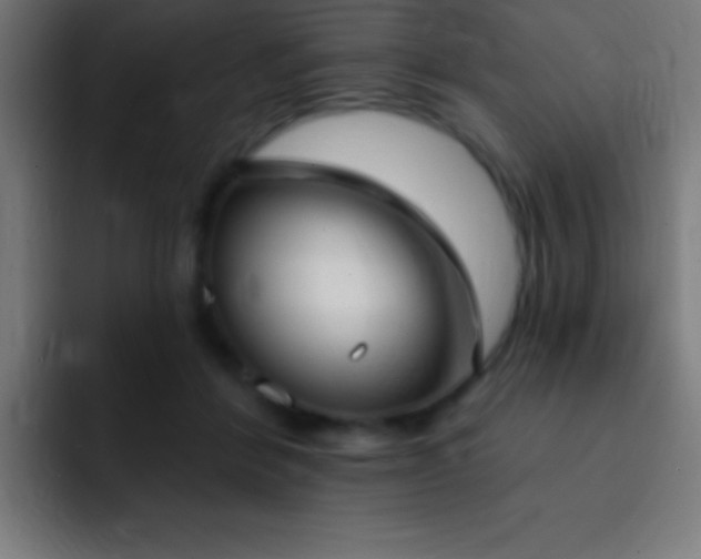 X0000093090412200710031815