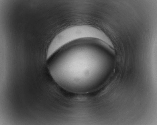 X0000093090416200710031815