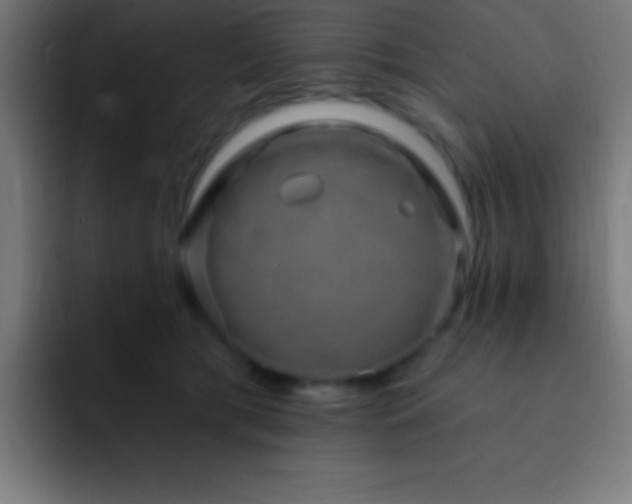 X0000093090417200710031815