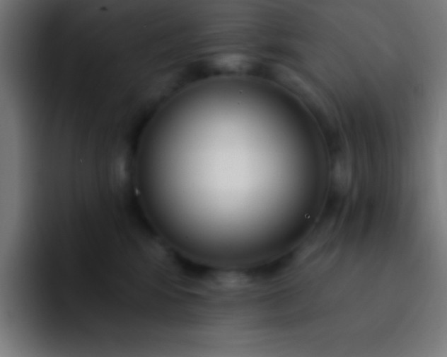 X0000093090424200710031815