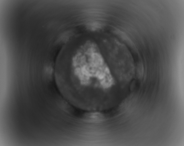 X0000093090427200710031815