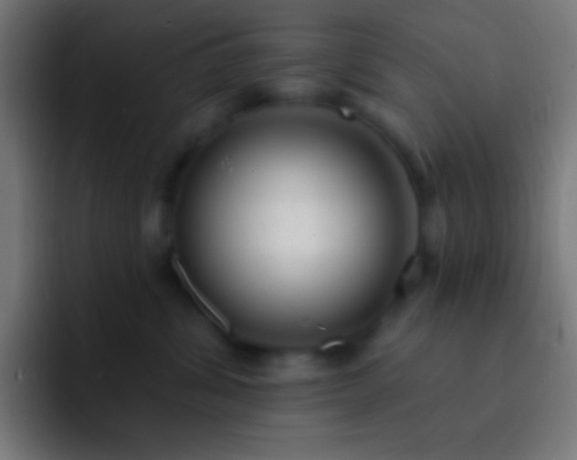 X0000093090428200710031815