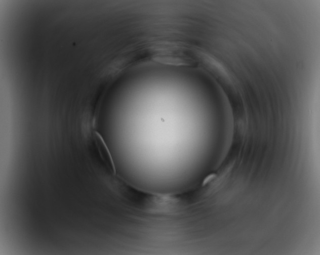 X0000093090429200710031815