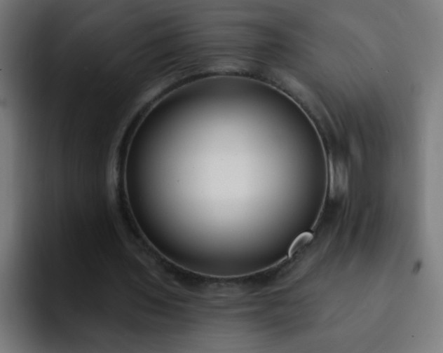 X0000093090435200710031815