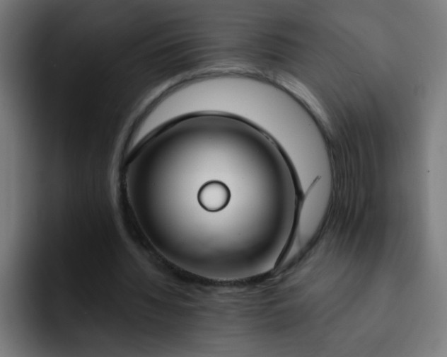 X0000093090436200710031815