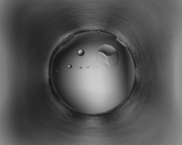 X0000093090438200710031815