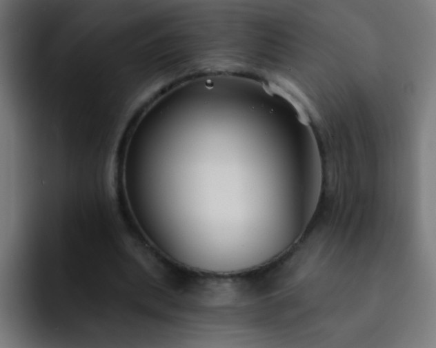 X0000093090439200710031815