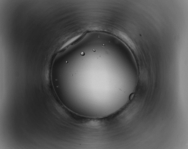 X0000093090441200710031815