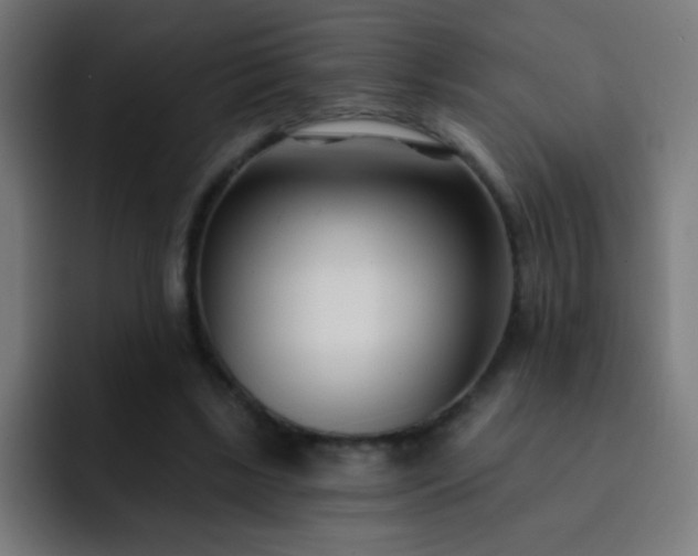 X0000093090443200710031815