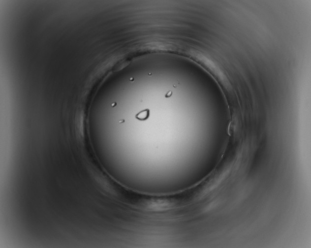 X0000093090445200710031815