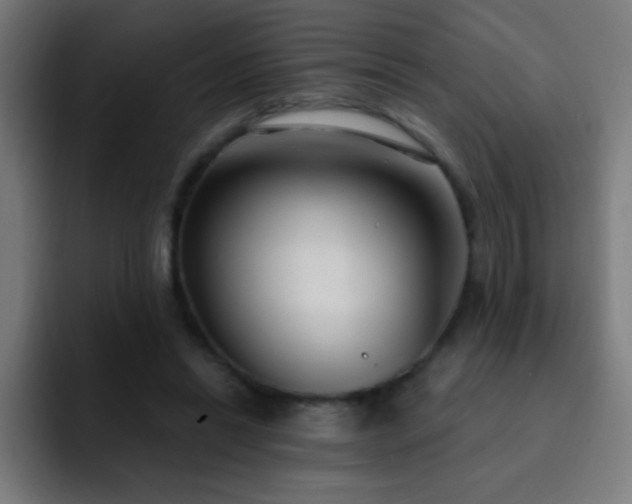 X0000093090446200710031815