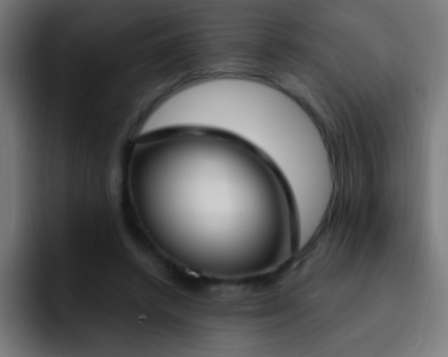 X0000093090448200710031815