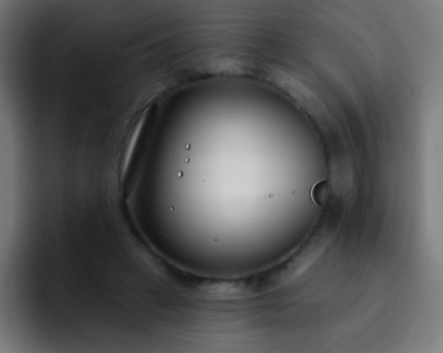 X0000093090449200710031815