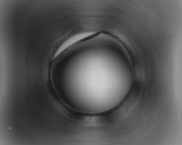 X0000093090450200710031815