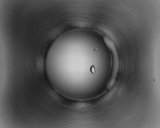 X0000093090453200710031815